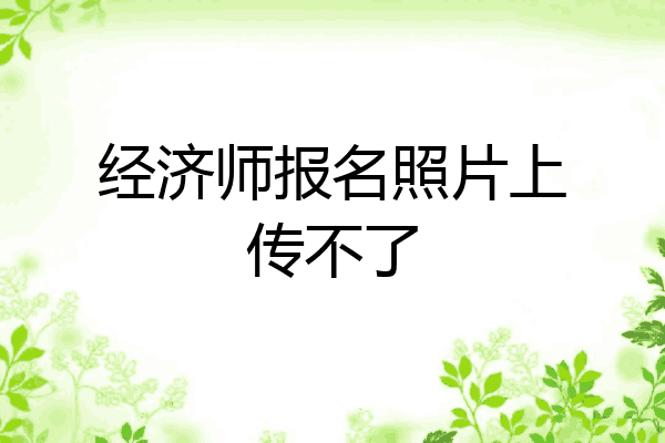 经济师报名照片上传不了