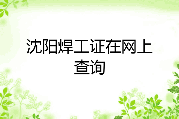 沈阳焊工证在网上查询
