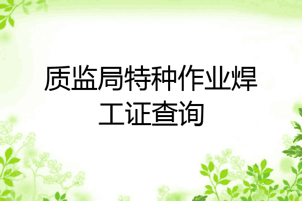 质监局特种作业焊工证查询