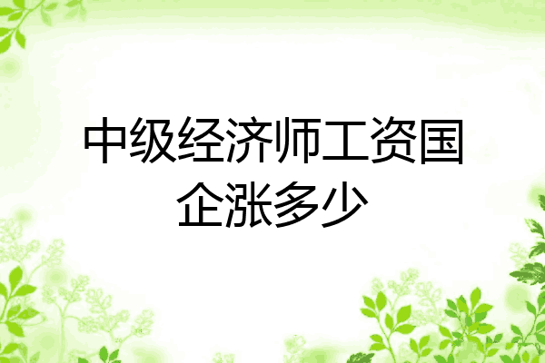 中级经济师工资国企涨多少