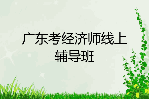 广东考经济师线上辅导班