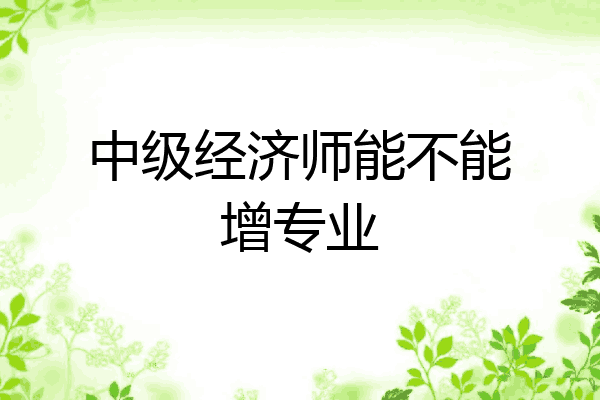 中级经济师能不能增专业