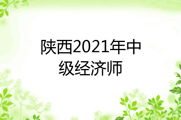 陕西2021年中级经济师