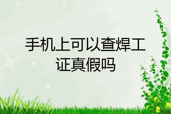 手机上可以查焊工证真假吗