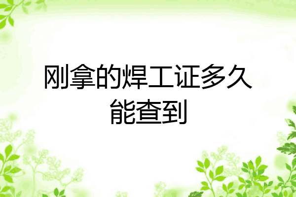 刚拿的焊工证多久能查到