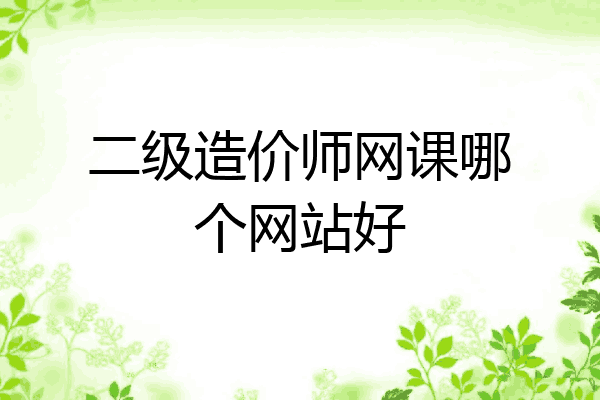 二级造价师网课哪个网站好