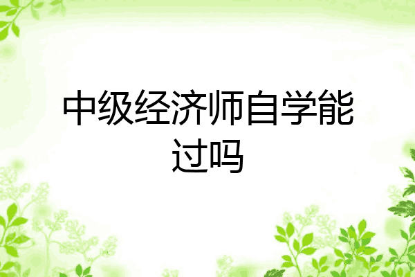 中级经济师自学能过吗