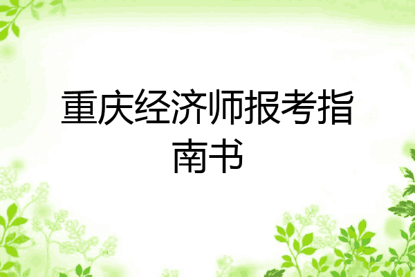 重庆经济师报考指南书