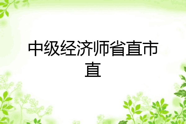 中级经济师省直市直