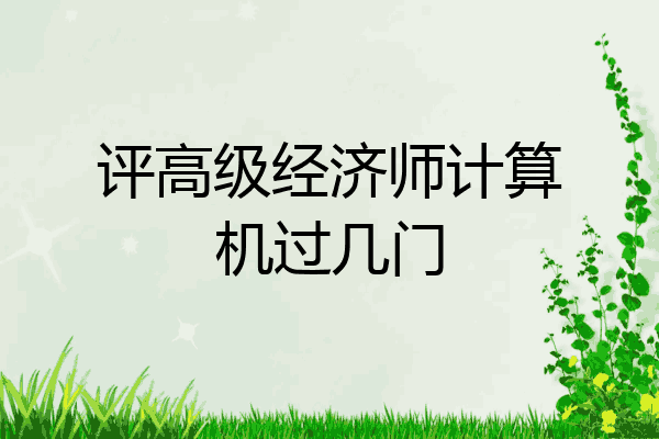 评高级经济师计算机过几门