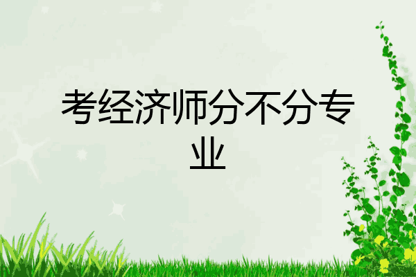 考经济师分不分专业