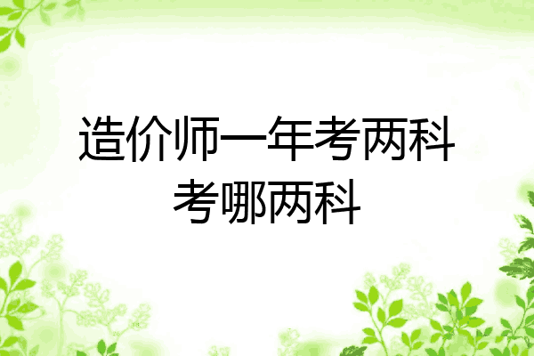 造价师一年考两科考哪两科