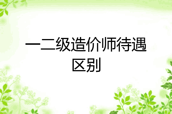 一二级造价师待遇区别
