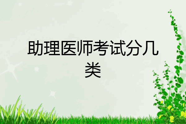 助理医师考试分几类
