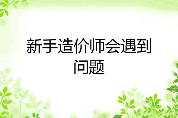 新手造价师会遇到问题