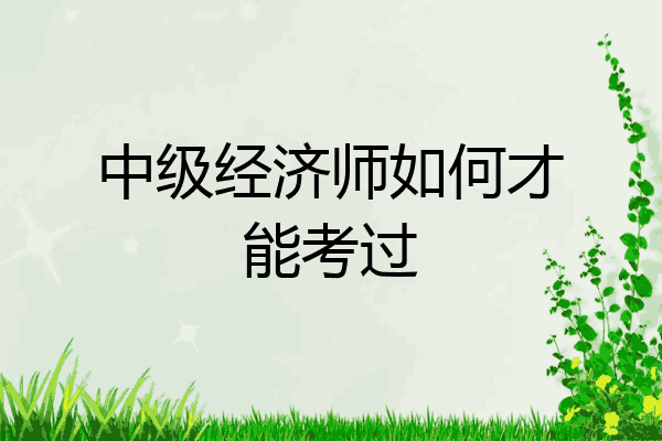 中级经济师如何才能考过