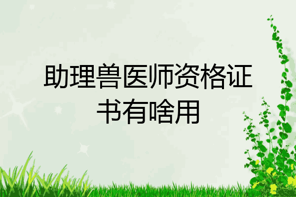 助理兽医师资格证书有啥用