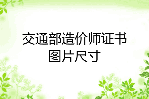 交通部造价师证书图片尺寸