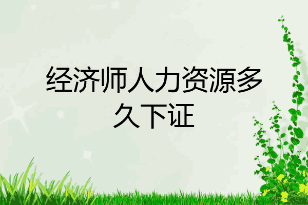 经济师人力资源多久下证