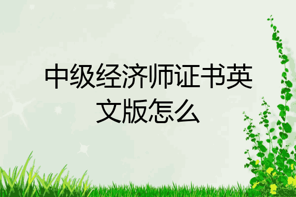 中级经济师证书英文版怎么