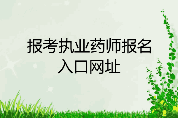 报考执业药师报名入口网址