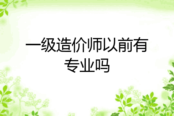 一级造价师以前有专业吗
