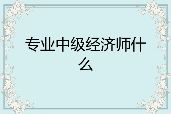 专业中级经济师什么