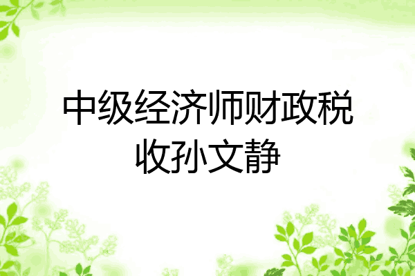 中级经济师财政税收孙文静