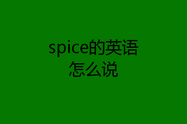spice的英语怎么说