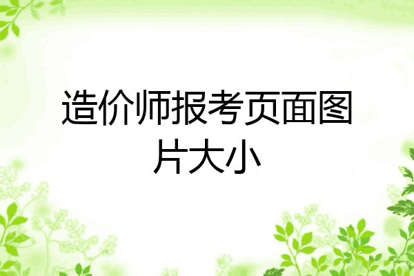 造价师报考页面图片大小