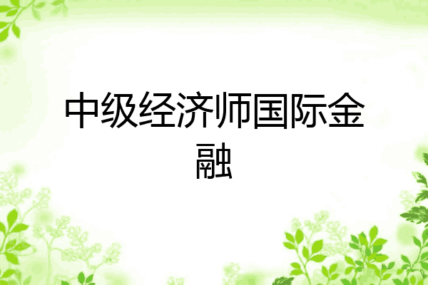 中级经济师国际金融