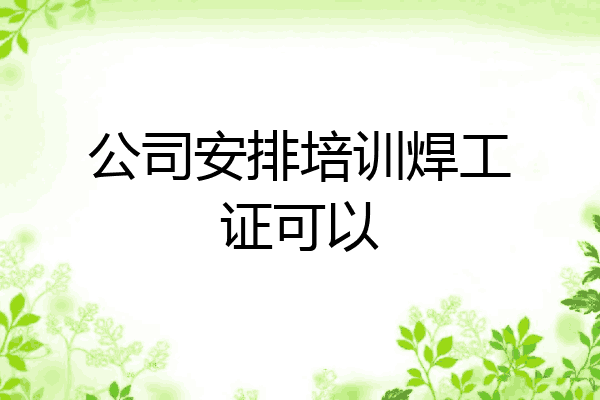 公司安排培训焊工证可以