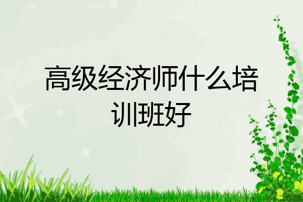 高级经济师什么培训班好