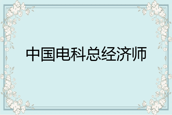 中国电科总经济师
