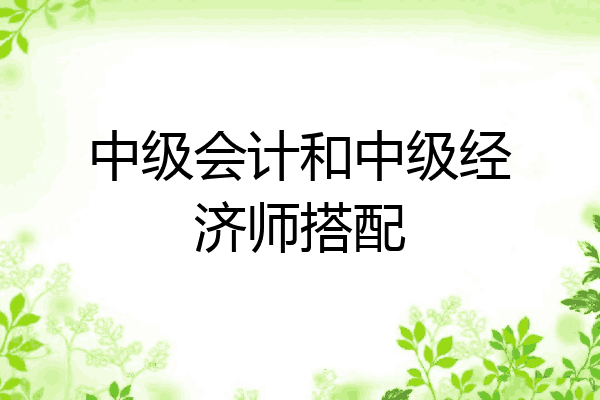 中级会计和中级经济师搭配