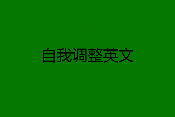 自我调整英文