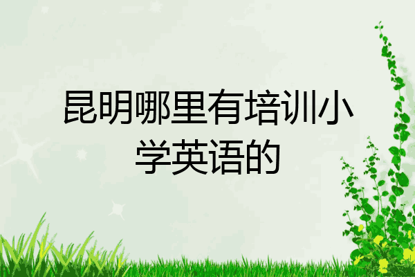 昆明哪里有培训小学英语的