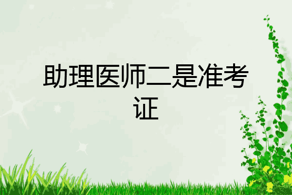 助理医师二是准考证