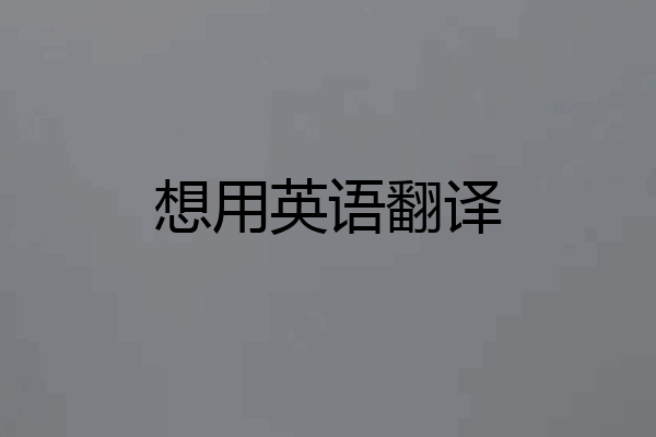 想用英语翻译