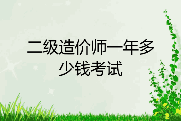 二级造价师一年多少钱考试
