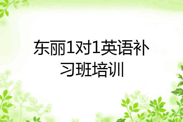 东丽1对1英语补习班培训