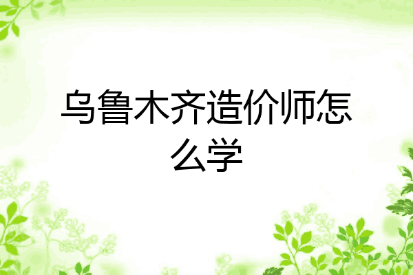 乌鲁木齐造价师怎么学