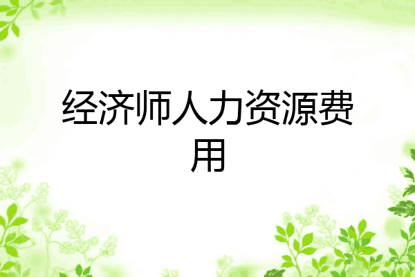 经济师人力资源费用