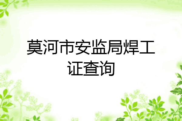 莫河市安监局焊工证查询