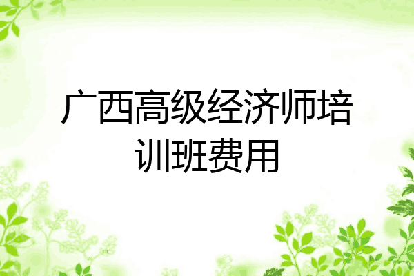 广西高级经济师培训班费用