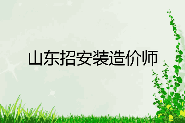 山东招安装造价师