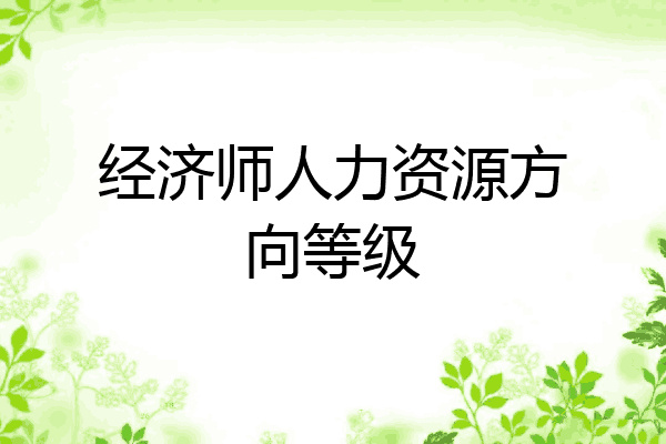 经济师人力资源方向等级