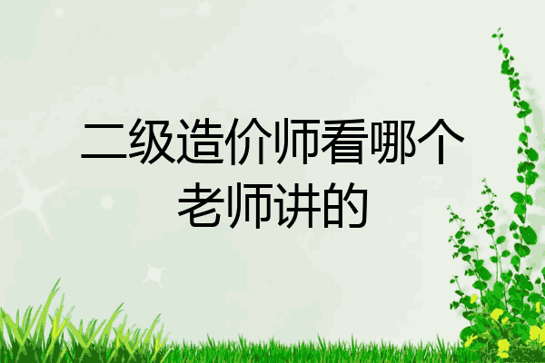 二级造价师看哪个老师讲的