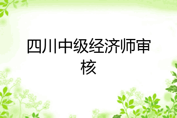 四川中级经济师审核