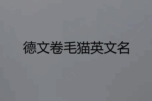 德文卷毛猫英文名